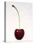 A Cherry Against a White Background-null-Stretched Canvas