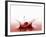 A Cherry Falling into Red Juice-Petr Gross-Framed Photographic Print