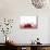 A Cherry Falling into Red Juice-Petr Gross-Mounted Photographic Print displayed on a wall