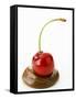 A Cherry on a Blob of Chocolate Sauce-Greg Elms-Framed Stretched Canvas