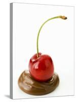 A Cherry on a Blob of Chocolate Sauce-Greg Elms-Stretched Canvas