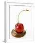 A Cherry on a Blob of Chocolate Sauce-Greg Elms-Framed Photographic Print