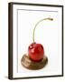 A Cherry on a Blob of Chocolate Sauce-Greg Elms-Framed Photographic Print