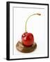 A Cherry on a Blob of Chocolate Sauce-Greg Elms-Framed Photographic Print