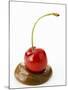 A Cherry on a Blob of Chocolate Sauce-Greg Elms-Mounted Photographic Print