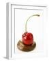 A Cherry on a Blob of Chocolate Sauce-Greg Elms-Framed Photographic Print