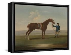 A Chestnut Horse (Possibly Old Partner) Held by a Groom-James Seymour-Framed Stretched Canvas