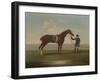 A Chestnut Horse (Possibly Old Partner) Held by a Groom-James Seymour-Framed Giclee Print