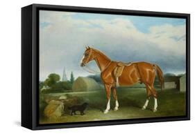 A Chestnut Hunter and a Spaniel by Farm Buildings-Federico Ballesio-Framed Stretched Canvas