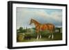 A Chestnut Hunter and a Spaniel by Farm Buildings-Federico Ballesio-Framed Giclee Print