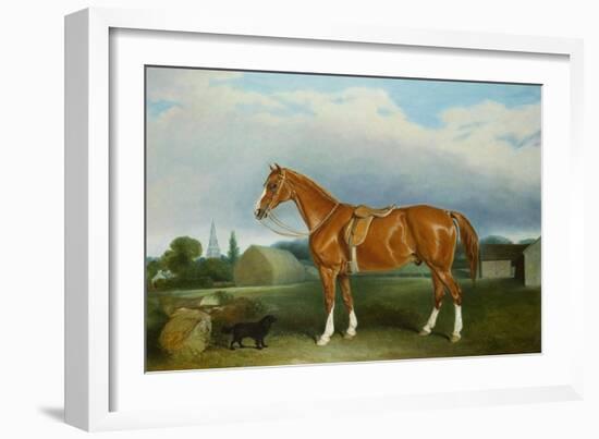 A Chestnut Hunter and a Spaniel by Farm Buildings-Federico Ballesio-Framed Giclee Print