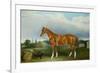 A Chestnut Hunter and a Spaniel by Farm Buildings-Federico Ballesio-Framed Giclee Print