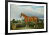 A Chestnut Hunter and a Spaniel by Farm Buildings-Federico Ballesio-Framed Giclee Print