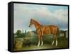 A Chestnut Hunter and a Spaniel by Farm Buildings-John E. Ferneley-Framed Stretched Canvas