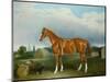 A Chestnut Hunter and a Spaniel by Farm Buildings-John E. Ferneley-Mounted Giclee Print