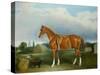 A Chestnut Hunter and a Spaniel by Farm Buildings-John E. Ferneley-Stretched Canvas