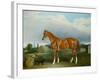 A Chestnut Hunter and a Spaniel by Farm Buildings-John E. Ferneley-Framed Giclee Print