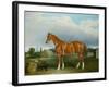 A Chestnut Hunter and a Spaniel by Farm Buildings-John E. Ferneley-Framed Giclee Print