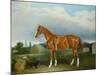 A Chestnut Hunter and a Spaniel by Farm Buildings-John E. Ferneley-Mounted Giclee Print