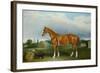 A Chestnut Hunter and a Spaniel by Farm Buildings-Federico Ballesio-Framed Giclee Print