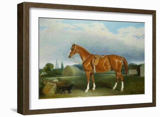 A Chestnut Hunter and a Spaniel by Farm Buildings-Federico Ballesio-Framed Giclee Print