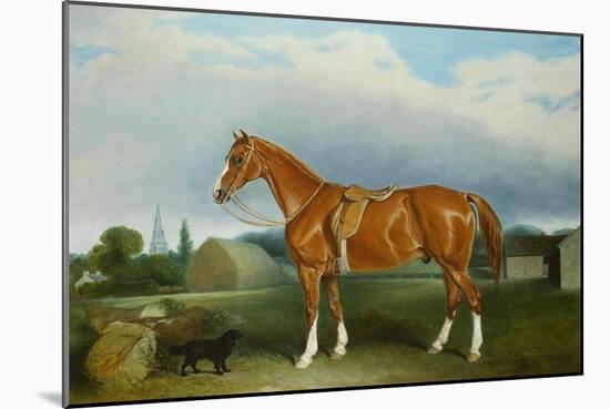 A Chestnut Hunter and a Spaniel by Farm Buildings-Federico Ballesio-Mounted Giclee Print