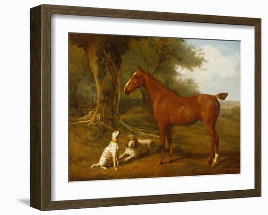 A Chestnut Hunter with a Briard and a Dalmatian-Jacques-Laurent Agasse-Framed Giclee Print