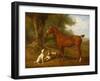 A Chestnut Hunter with a Briard and a Dalmatian-Jacques-Laurent Agasse-Framed Giclee Print
