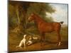 A Chestnut Hunter with a Briard and a Dalmatian-Jacques-Laurent Agasse-Mounted Giclee Print