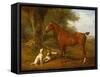 A Chestnut Hunter with a Briard and a Dalmatian-Jacques-Laurent Agasse-Framed Stretched Canvas