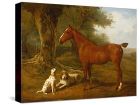 A Chestnut Hunter with a Briard and a Dalmatian-Jacques-Laurent Agasse-Stretched Canvas