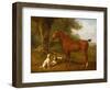 A Chestnut Hunter with a Briard and a Dalmatian-Jacques-Laurent Agasse-Framed Giclee Print