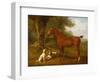 A Chestnut Hunter with a Briard and a Dalmatian-Jacques-Laurent Agasse-Framed Giclee Print