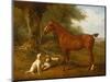 A Chestnut Hunter with a Briard and a Dalmatian-Jacques-Laurent Agasse-Mounted Giclee Print