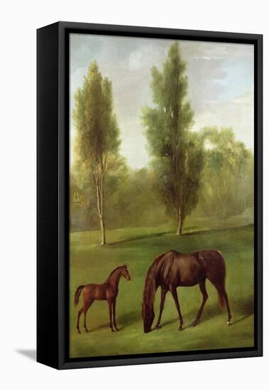 A Chestnut Mare and Foal in a Wooded Landscape, C.1761-63-George Stubbs-Framed Stretched Canvas