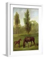 A Chestnut Mare and Foal in a Wooded Landscape, C.1761-63-George Stubbs-Framed Giclee Print