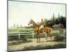 A Chestnut Racehorse with Jockey Up on a Training Track with Stables Beyond-Henry H. Cross-Mounted Giclee Print