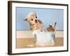 A Chihuahua Taking A Bath-graphicphoto-Framed Photographic Print