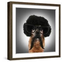 A Chihuahua With An Afro Wig And Glasses On-graphicphoto-Framed Photographic Print