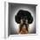 A Chihuahua With An Afro Wig And Glasses On-graphicphoto-Framed Photographic Print