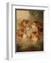 A Child's Portrait In Different Views: Angel's Heads, 1787-Sir Joshua Reynolds-Framed Giclee Print