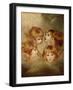 A Child's Portrait In Different Views: Angel's Heads, 1787-Sir Joshua Reynolds-Framed Giclee Print