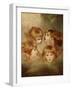 A Child's Portrait In Different Views: Angel's Heads, 1787-Sir Joshua Reynolds-Framed Giclee Print