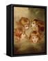 A Child's Portrait In Different Views: Angel's Heads, 1787-Sir Joshua Reynolds-Framed Stretched Canvas