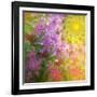 A Child’s View-Mindy Sommers-Framed Giclee Print