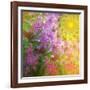 A Child’s View-Mindy Sommers-Framed Giclee Print