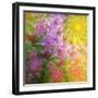 A Child’s View-Mindy Sommers-Framed Giclee Print