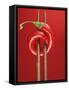 A Chili on Chopsticks-Marc O^ Finley-Framed Stretched Canvas