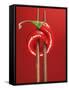 A Chili on Chopsticks-Marc O^ Finley-Framed Stretched Canvas