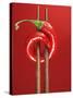 A Chili on Chopsticks-Marc O^ Finley-Stretched Canvas